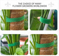 ladda bild till galleri