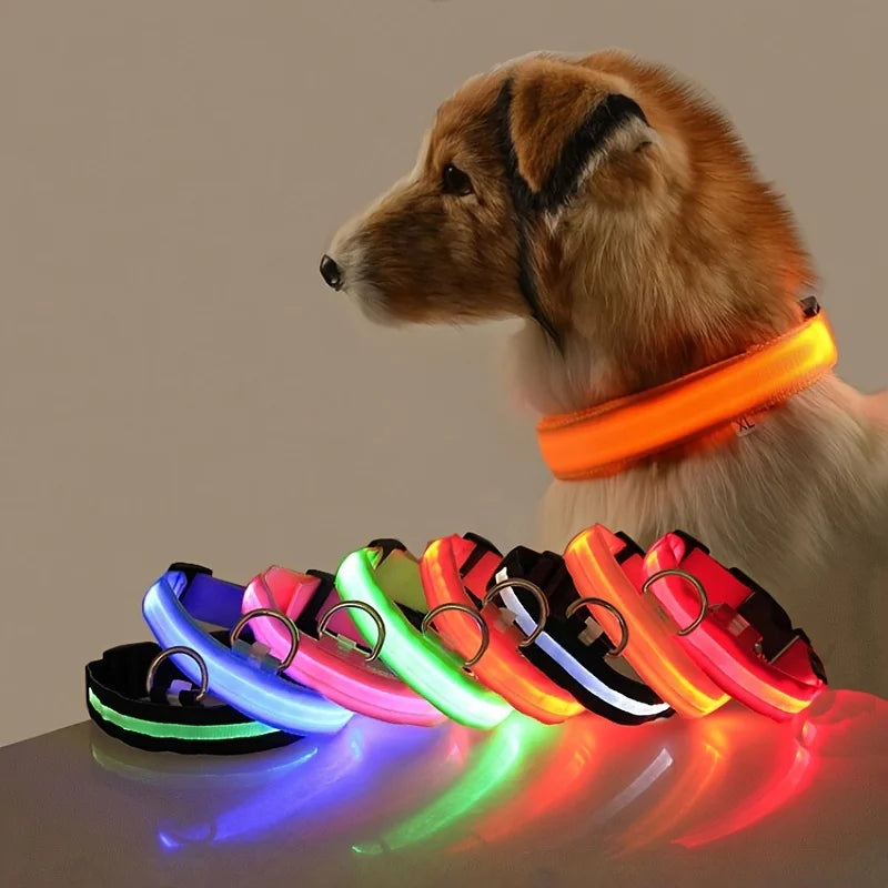 Lisen-LED-halsband hund