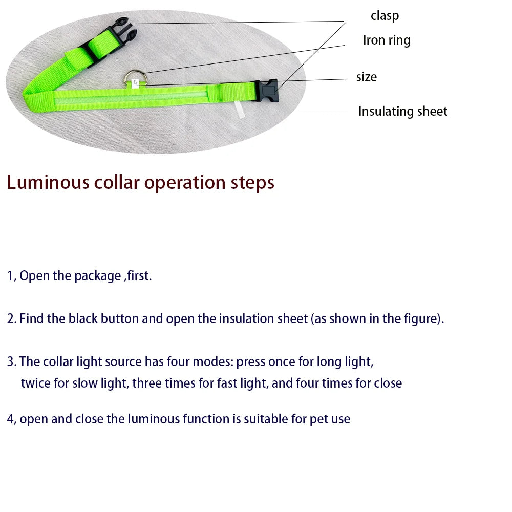 Lisen-LED-halsband hund